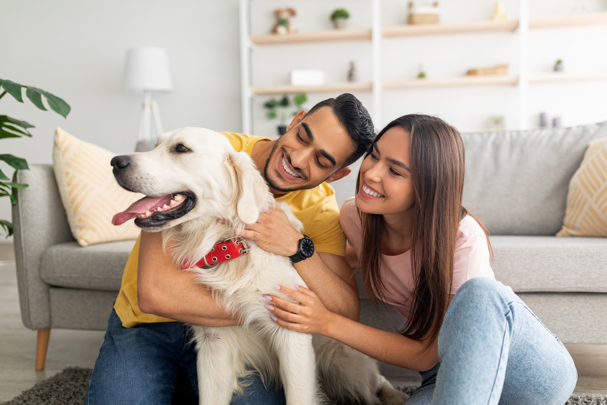 Guide to being responsible when renting with a pet mydeposits